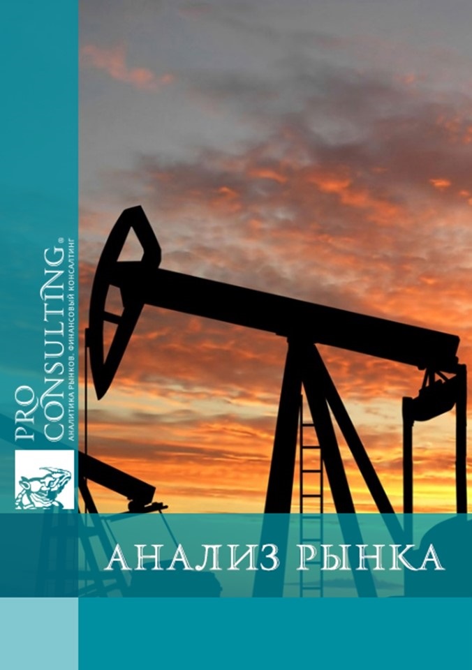 Анализ перспектив развития розничной торговли нефтепродуктами через АЗС Украины. 2010 год